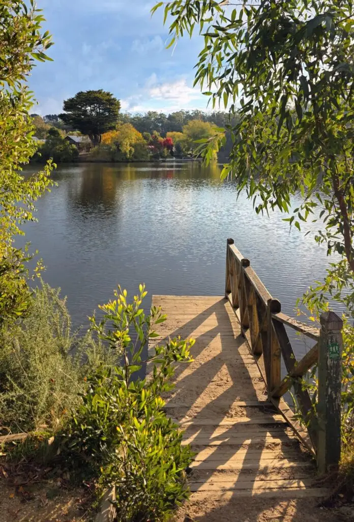 Wooden boardwalk along a calm lake, framed by green plants, with autumn-colored trees across the water under a blue sky.