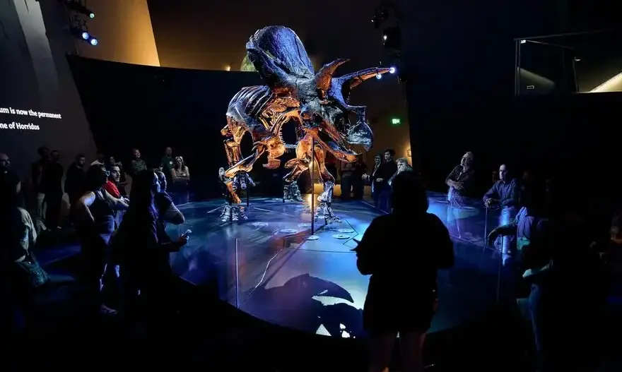 Nocturnal: Museum After Dark. Image credit: Whats On Melbourne